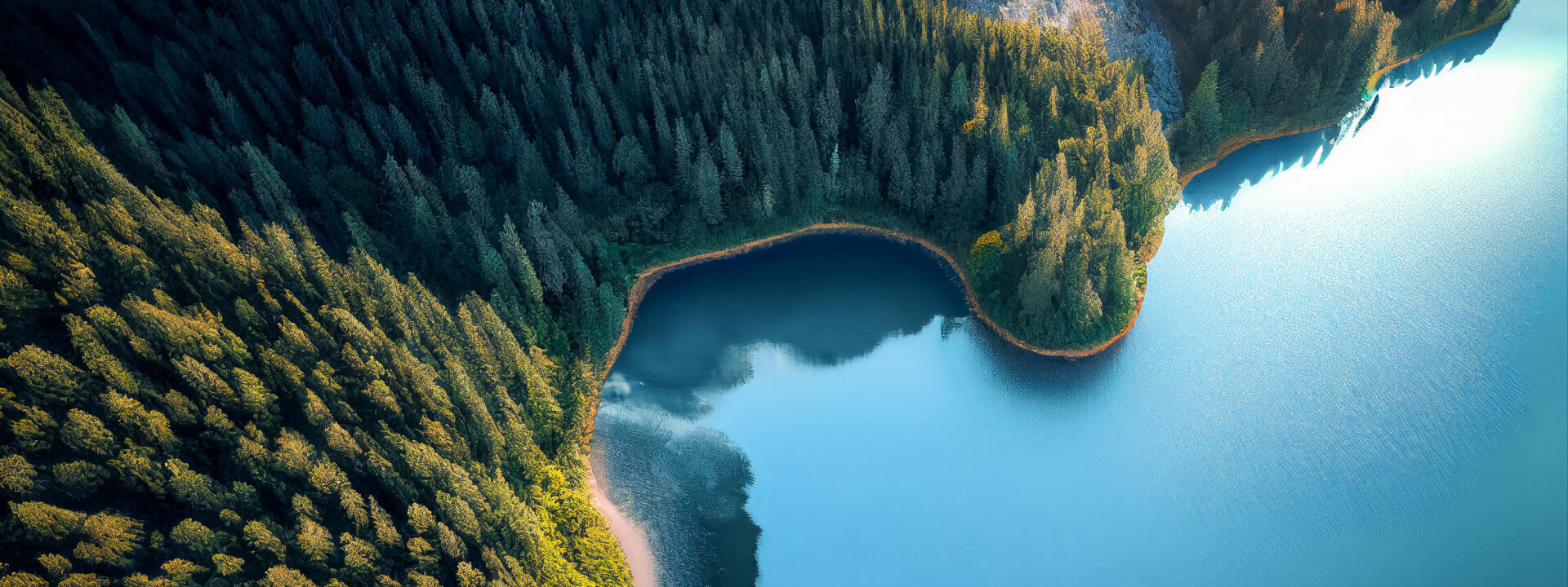 VSF TEST STRIPE cover image